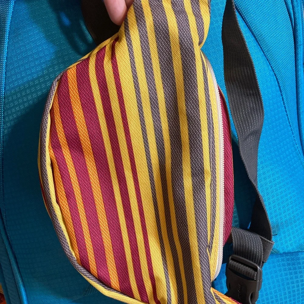 JanSport Multicolor Striped Fanny pack - Picture 2 of 3